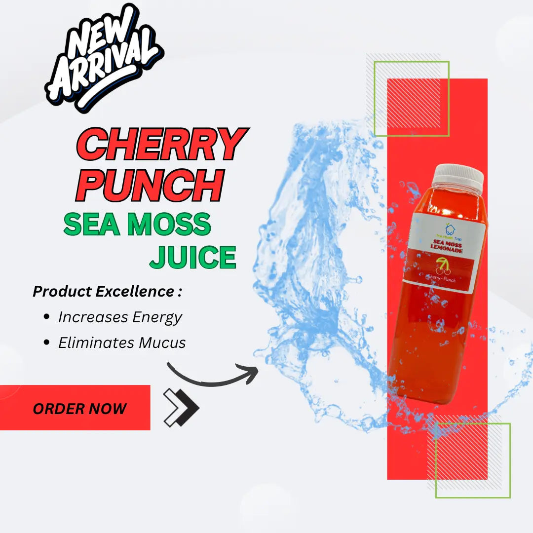 Tropical Sea Moss Drink Variety Bundle 4 Pack