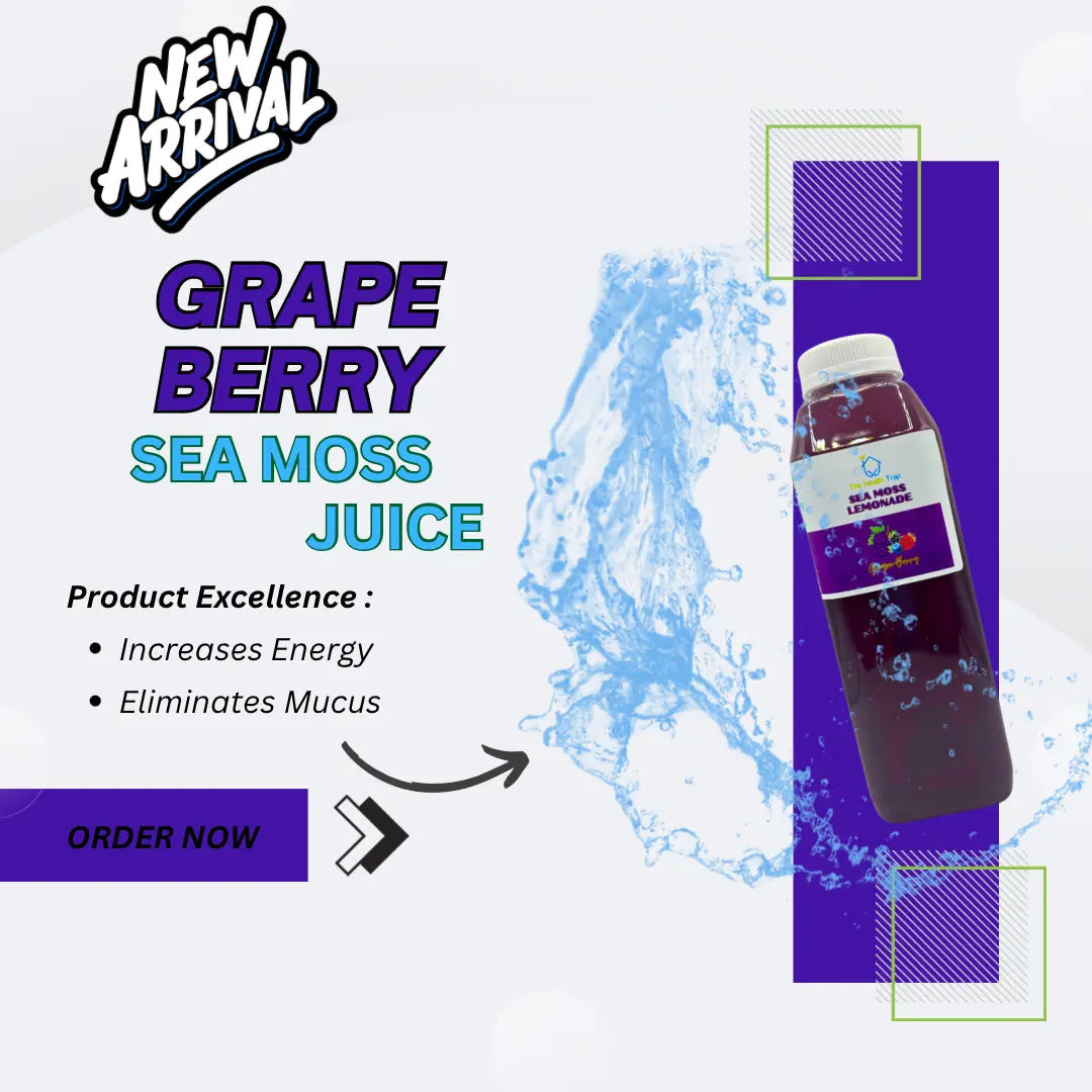 Tropical Sea Moss Drink Variety Bundle 4 Pack