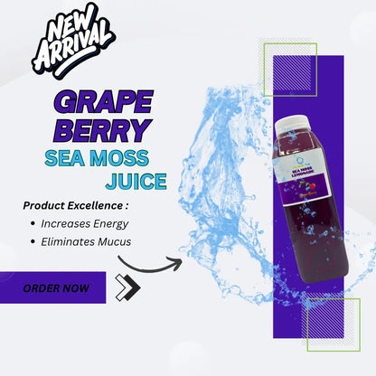 Tropical Sea Moss Drink Variety Bundle 4 Pack