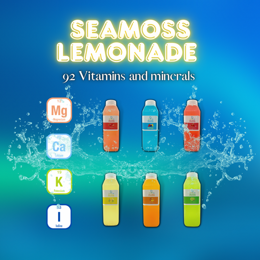 Sea Moss Lemonade Variety Bundle 6 Pack